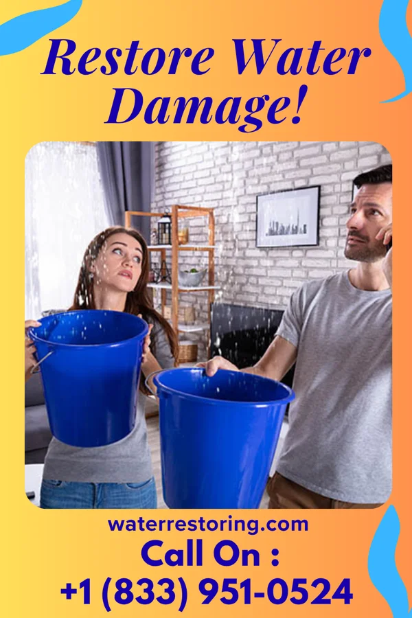 water restoration Swift Damage Recovery Crew Bellevue