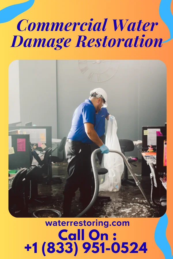Commercial Water Damage Restoration in Bellevue, TX