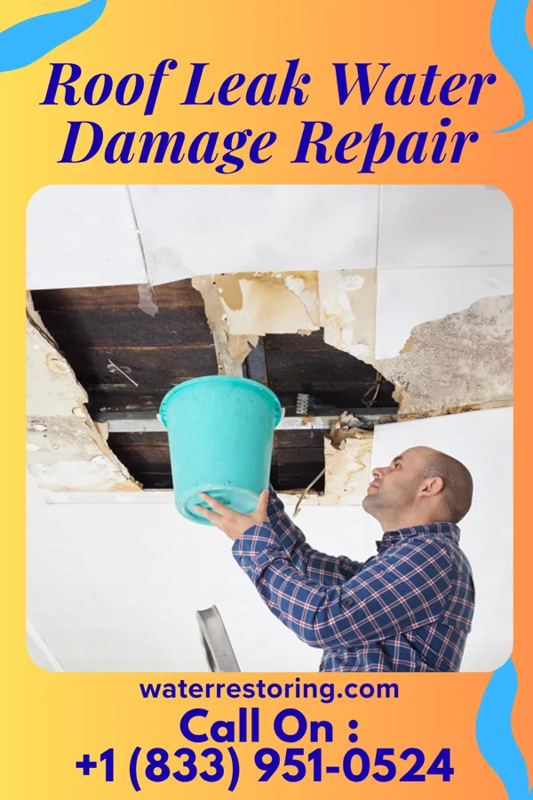Roof Leak Water Damage Repair in Bellevue, TX