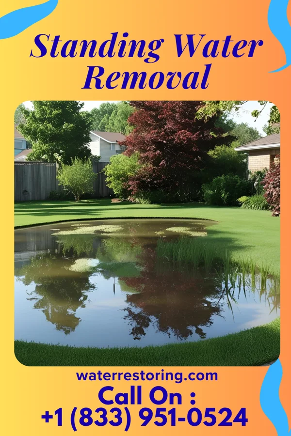 Standing Water Removal in Bellevue, TX
